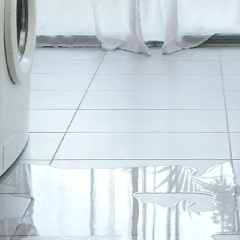 Appliance Leak Cleanup in Alexander, AR