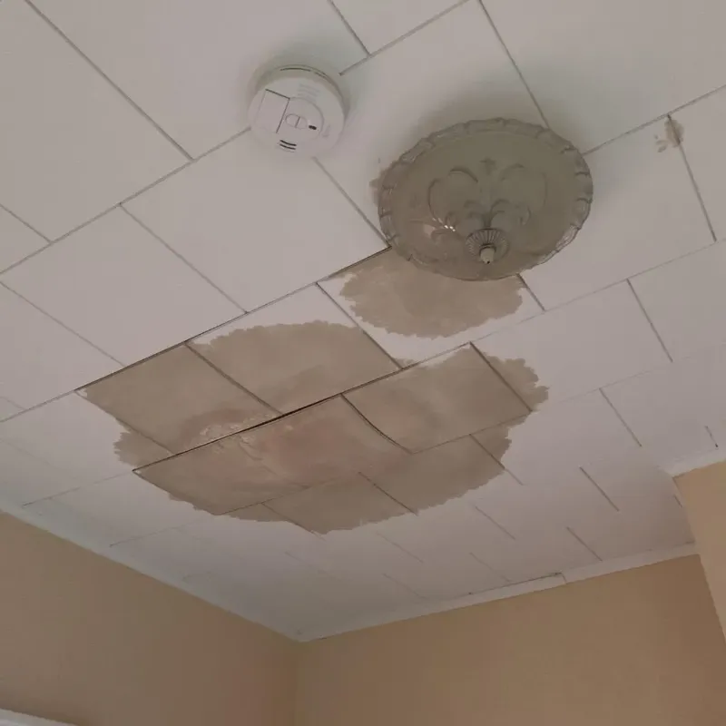 Ceiling Water Damage Repair in Alexander, AR