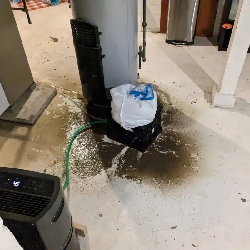 Sewage Backup Cleanup Service in Alexander, AR